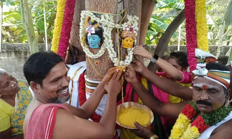 உலகம் நன்மை பெற வேண்டி அரசமரம், வேப்பமரத்திற்கு திருமணம்