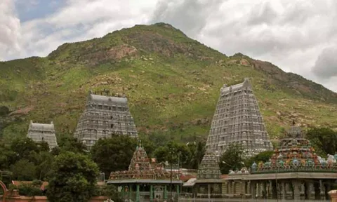 திருவண்ணாமலை மகா தீப மலையில் புவியியல் வல்லுநர் குழு ஆய்வு