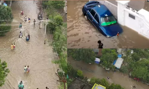 புதுச்சேரி பகுதிகளில் மத்திய குழு ஆய்வு