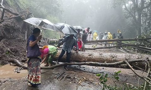போடிமெட்டு, குமுளி மலைச்சாலையில் பாறைகள், மரம் விழுந்து போக்குவரத்து பாதிப்பு