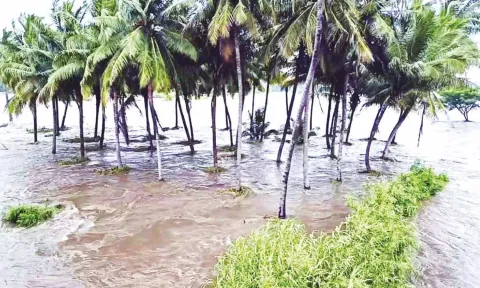 அமராவதி ஆற்றில் கரைபுரண்டு ஓடும் வெள்ளம்- பாலங்கள் மூழ்கியதால் போக்குவரத்து பாதிப்பு