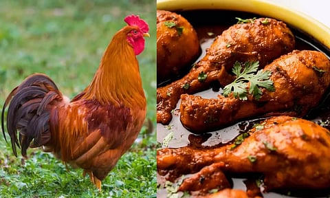 வாரம் ஒரு நாட்டுக் கோழி கொடுத்தா லோன் தரேன்.. விவசாயியை ஏமாற்றி ஏப்பம் விட்ட  பேங்க் மேனேஜர்