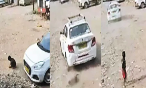 விளையாடிக் கொண்டிருந்தவன் மீது ஏறி இறங்கிய கார்- அதிர்ஷ்டவசமாக உயிர் பிழைத்த சிறுவன்