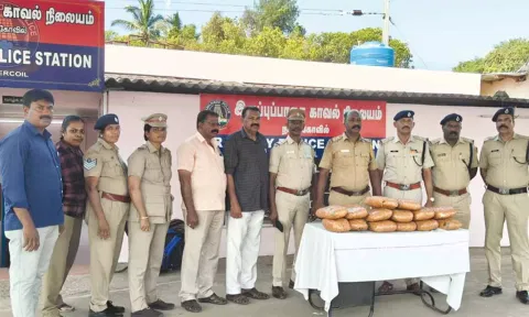கன்னியாகுமரி ரெயிலில் கடத்தி வரப்பட்ட 13 கிலோ கஞ்சா பறிமுதல்