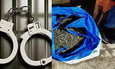 கேரளாவில் கஞ்சாவுடன் மார்க்சிஸ்ட் கம்யூனிஸ்டு கட்சி எம்.எல்.ஏ. மகன் உள்பட 9 பேர் கைது