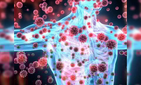 சென்னை, திருவள்ளூர், காஞ்சிபுரம் உள்ளிட்ட 7 மாவட்டங்களில் `ஸ்கரப் டைபஸ்' பாக்டீரியா தொற்று அதிகரிப்பு