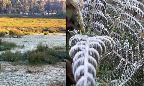 கொடைக்கானலில் மீண்டும் உறைபனியால் இயல்பு வாழ்க்கை பாதிப்பு