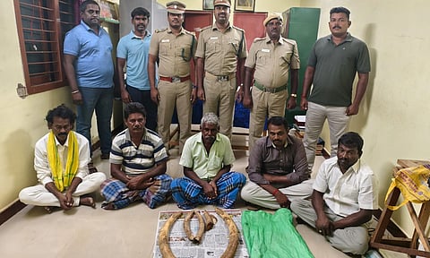 யானை தந்தம் வெட்டி கடத்தி விற்க முயன்ற கும்பல்