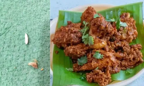 சென்னையில் பிரபல உணவகத்தில் வாங்கிய சிக்கனில் நெளிந்த புழு