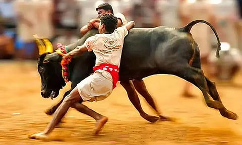 மதுரையில் களை கட்டும் ஜல்லிக்கட்டு திருவிழா: நாளை முதல் முன்பதிவு தொடக்கம்