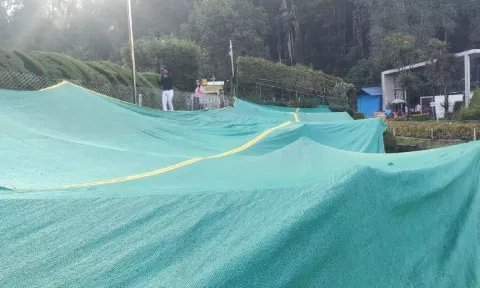 கொடைக்கானலில் தொடரும் உறைபனி: பூங்காவில் மலர் நாற்றுகளை பாதுகாக்க போர்வை