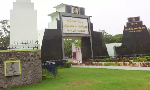 பொங்கல் பண்டிகை- வண்டலூர் உயிரியல் பூங்காவில் பொதுமக்களுக்கு சிறப்பு ஏற்பாடுகள்
