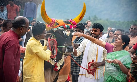 ஈஷாவில் விமரிசையாக கொண்டாடப்பட்ட பொங்கல் திருவிழா