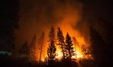 காற்றின் வேகம் தணிந்தது: லாஸ் ஏஞ்சல்சில் காட்டுத் தீ அணைக்கும் பணிகளில் முன்னேற்றம்