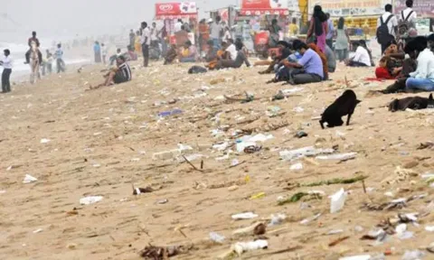 மெரினா கடற்கரையில் குப்பைகளை வீசி செல்பவர்களுக்கு உடனடி அபராதம்- பசுமை தீர்ப்பாயம் அறிவுறுத்தல்