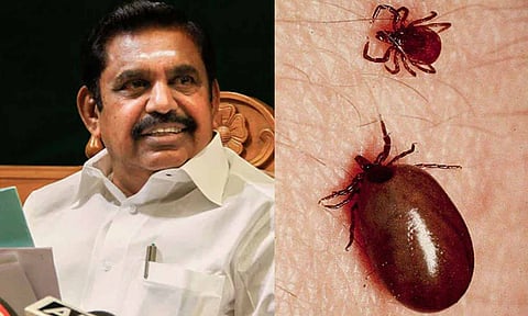 தமிழகத்தில் வேகமாக பரவும் 'ஸ்க்ரப் டைபஸ்' காய்ச்சல்- நடவடிக்கை எடுக்க திமுக அரசுக்கு இபிஎஸ் வலியுறுத்தல்