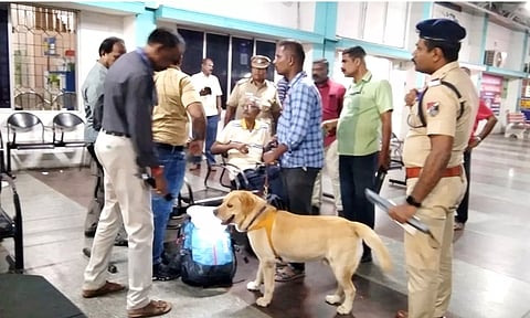 நெல்லை ரெயில் நிலையத்தில் வெடிகுண்டு தடுப்பு பிரிவினர் மோப்பநாய் மூலம் தீவிர சோதனை நடத்திய காட்சி.