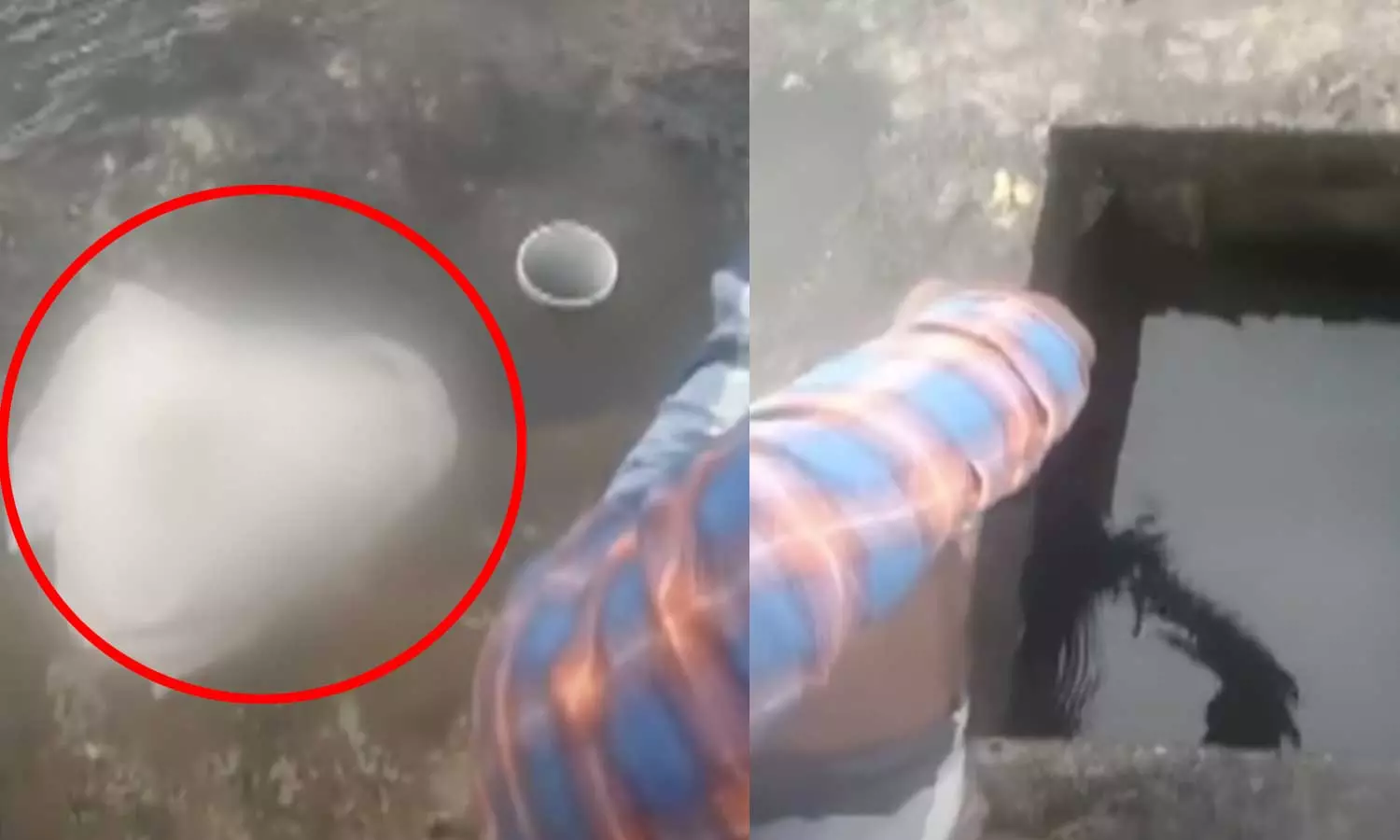 வேங்கைவயல் குடிநீர் தொட்டியில் 'மலம்' பையுடன் 2 பேர்... வெளியான அதிர்ச்சி வீடியோ, ஆடியோ