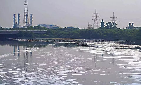 டெல்லிக்கு குடிநீர் வழங்கும் யமுனையில் அதிக அளவில் அமோனியா: ஹரியானாவிடம் அறிக்கை கேட்கும் தேர்தல் ஆணையம்