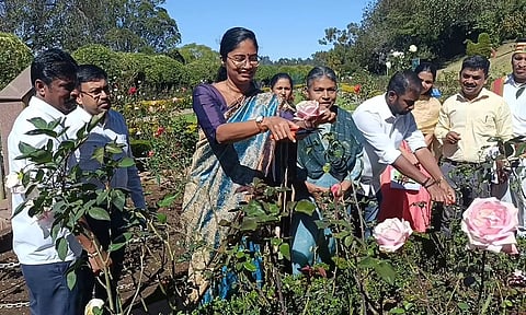 ஊட்டி ரோஜா பூங்காவில் செடிகள் கவாத்து பணி தொடக்கம்