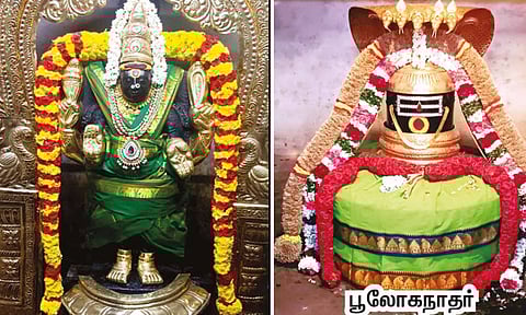 சகல தோஷங்களை நீக்கும் `பூலோகநாதர்'