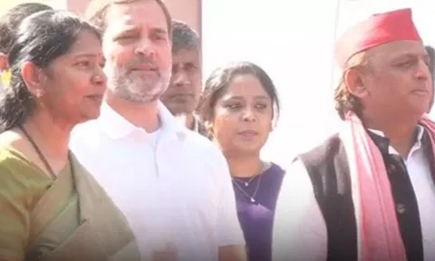 டெல்லியில் மத்திய அரசை கண்டித்து திமுக மற்றும் கூட்டணி எம்பிக்கள் ஆர்ப்பாட்டம்- ராகுல் காந்தி பங்கேற்பு