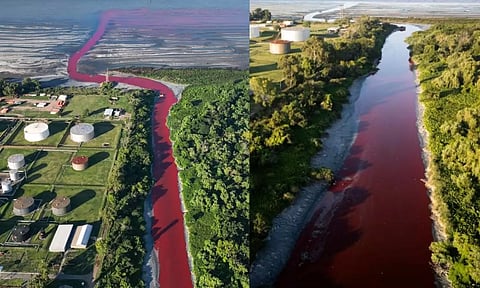 திடீரென ரத்தக் களறியாக மாறிய நீரோடை.. அர்ஜென்டினா மக்கள் அதிர்ச்சி - காரணம் இதுதான்!