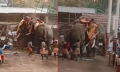 கோவில் திருவிழாவில் யானைகள் இடையிலான மோதலில் சிக்கி 3 பக்தர்கள் பலி