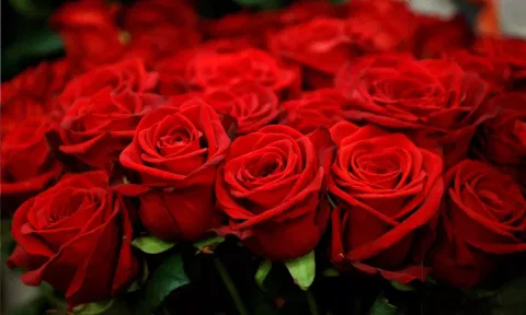 ஆதலால் காதல் செய்வீர்.. தினங்களை கடந்து கொண்டாடப்பட வேண்டிய தினம்!