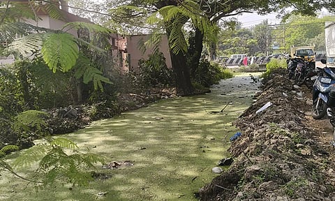 கால்வாய் தண்ணீர் பச்சை நிறமாக மாறியது- கழிவு நீர் கலப்பதாக குற்றச்சாட்டு