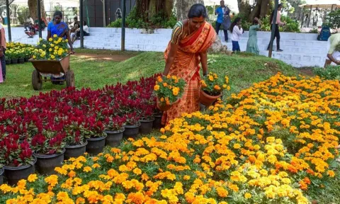ஏற்காடு கோடை விழாவுக்காக தாவரவியல் பூங்காவில் முன்னேற்பாடுகள் தீவிரம்