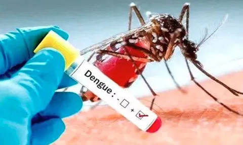 இந்திய அளவில் டெங்கு காய்ச்சலுக்கு கேரளாவில் அதிக உயிரிழப்பு