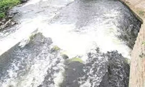 நொய்யல் ஆற்றில் சாயக்கழிவு நீர் கலப்பு- மாசு கட்டுப்பாடு வாரிய அதிகாரிகள் ஆய்வு