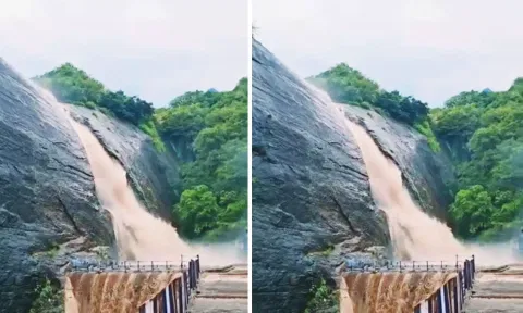 மேற்கு தொடர்ச்சி மலை பகுதிகளில் தொடர் மழை: குற்றாலத்தில் 2-வது நாளாக குளிக்க தடை