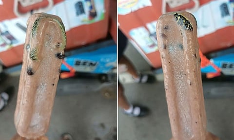 குச்சி ஐசுக்குள் உறைந்திருந்த பாம்பு.. சுவைக்க முற்பட்டவர் அதிர்ச்சி