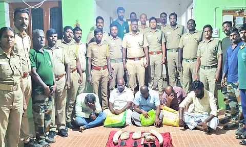 களக்காடு அருகே யானை தந்தங்கள், பற்கள் பதுக்கிய கும்பல் சிக்கியது