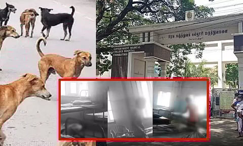 வெறிநாய் கடியால் பாதிக்கப்பட்ட நபர் மருத்துவமனையில் கழுத்தை அறுத்து தற்கொலை