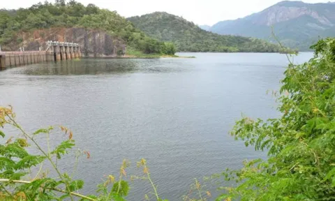 மேற்கு தொடர்ச்சி மலையில் தொடரும் மழை: பாபநாசம், சேர்வலாறு அணைகள் நீர்மட்டம் உயர்வு