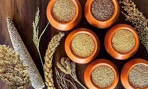 வேளாண்மை பட்ஜெட்: சிறு தானிய இயக்கத்தை செயல்படுத்த ரூ.52 கோடி ஒதுக்கீடு