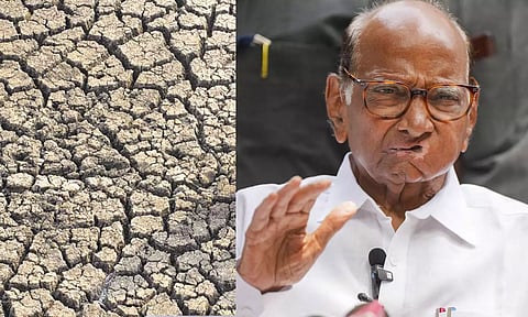 மகாராஷ்டிராவில் விவசாயிகளின் தற்கொலை கவலை அளிக்கும் விதமாக உள்ளது: சரத் பவார்