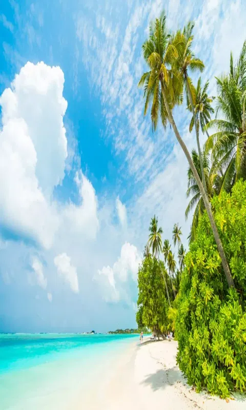 கோடை காலத்தில் தவிர்க்க வேண்டிய பழக்கங்கள்