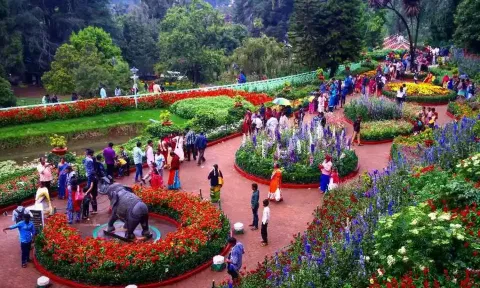 நீலகிரியில் ஏப்.2-ந் தேதி முழு அடைப்பு போராட்டம்- மாவட்ட அனைத்து சங்க கூட்டமைப்பு அறிவிப்பு