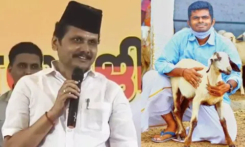 ஆடு உள்ளே வரும், வெளியே போக முடியாது- அண்ணாமலையை மறைமுகமாக விமர்சித்த செந்தில் பாலாஜி