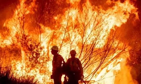 VIDEO: தென் கொரியாவில் பயங்கர காட்டுத்தீ.. அவசரநிலை பிரகடனம் - 4 பேர் பலி