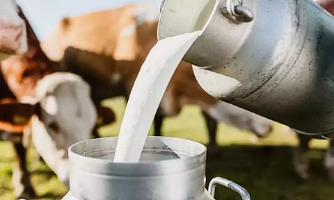 உலக அளவில் பால் உற்பத்தியில் முன்னணி வகிக்கிறது இந்தியா- மத்திய மந்திரி தகவல்