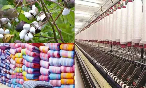 திருப்பூரில் சூடுபிடிக்கும் பருத்தி நூலிழை டி-சர்ட்டுகள் விற்பனை