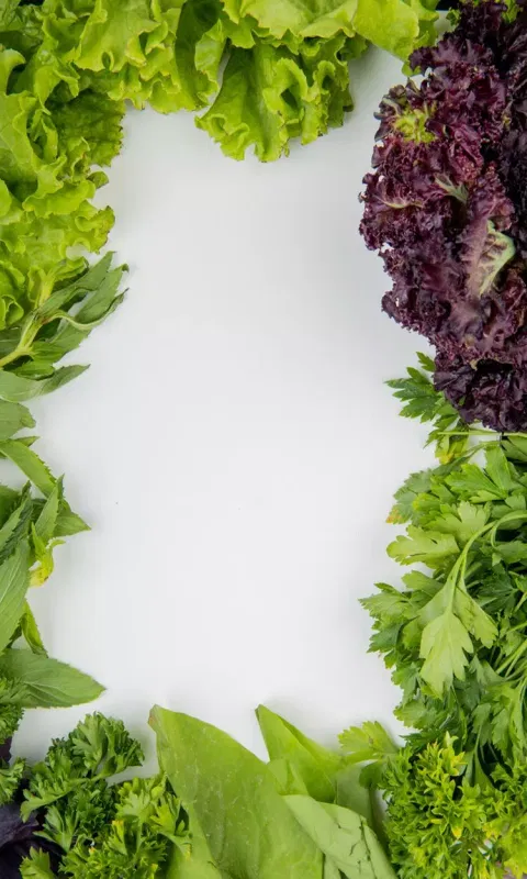 கோடை காலத்தில் என்னென்ன கீரை சாப்பிடலாம்?