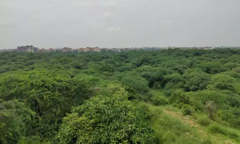 நாடு முழுவதும் 13.05 ஆயிரம் ச.கி.மீ. காட்டுப் பகுதிகள் ஆக்கிரமிப்பு: தமிழகத்தில் எவ்வளவு?