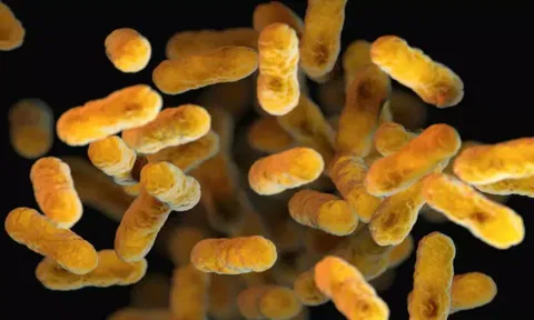 கொரோனாவை போன்று பரவும் புதிய வைரஸ் - ரஷியா விளக்கம்