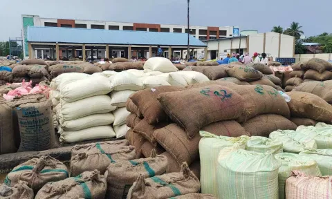 செஞ்சியில் மழை: 10 ஆயிரம் நெல் மூட்டைகள் சேதம்
